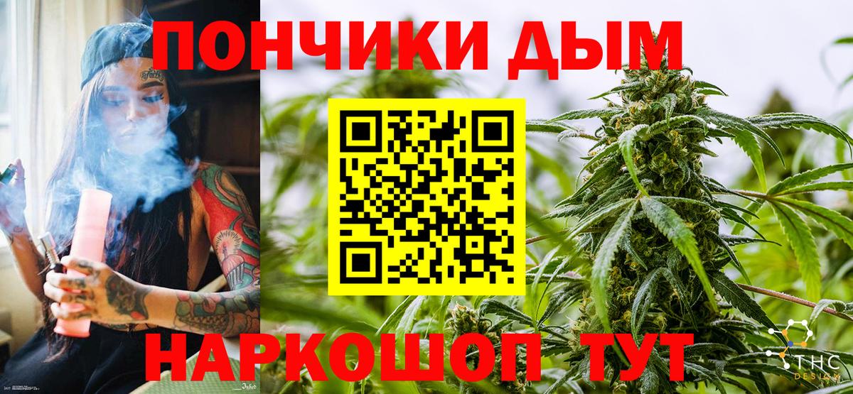 Конопля план Буйнакск